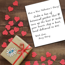 Load image into Gallery viewer, Have a Nice Valentine's Daisy Box